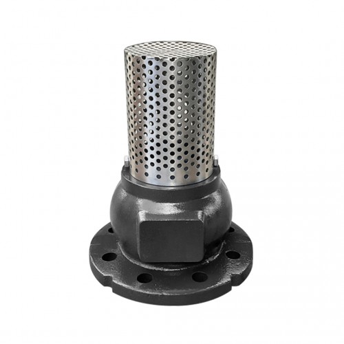 What is a Foot Valve?