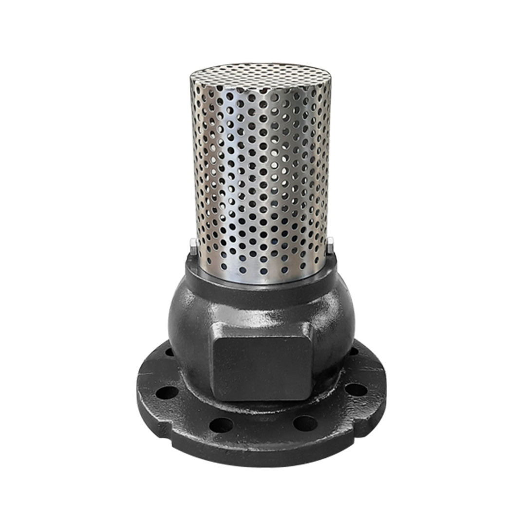  What is a Foot Valve? 